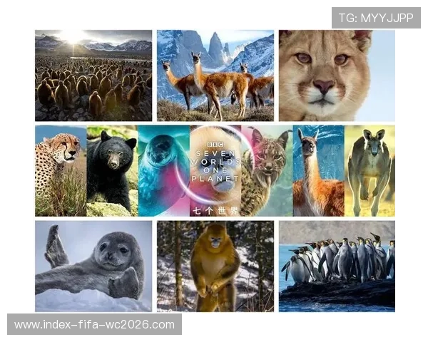 《探索世界的奥秘：十部必看纪录片带你走进不同领域的深度探险》